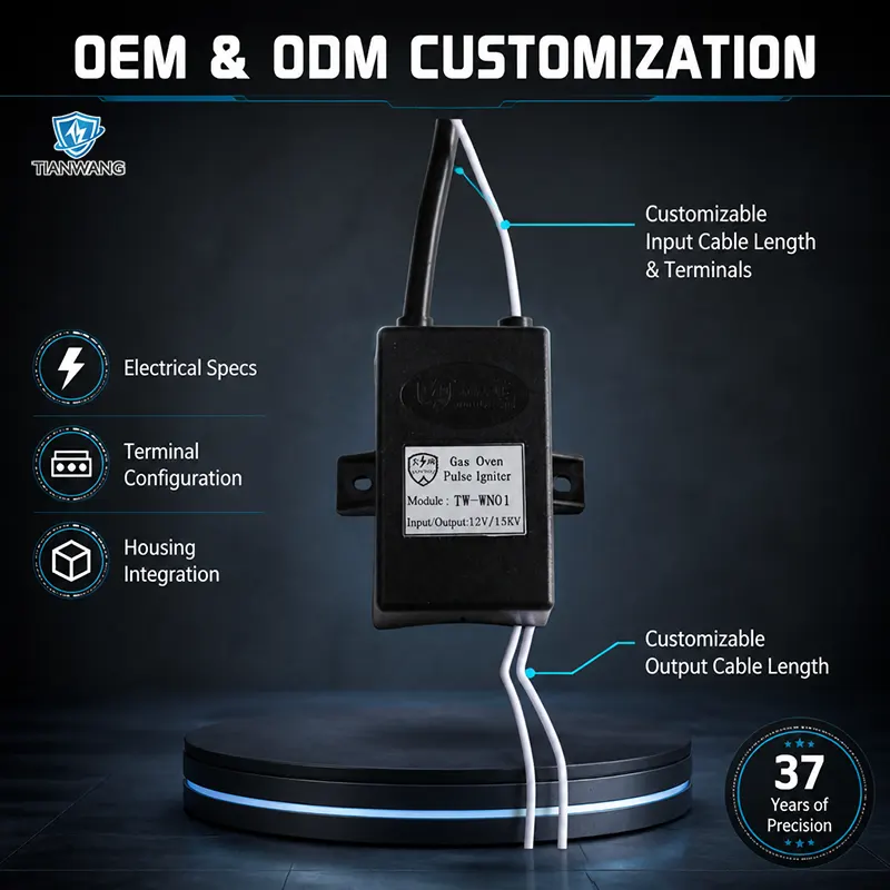 Ignition Transformer