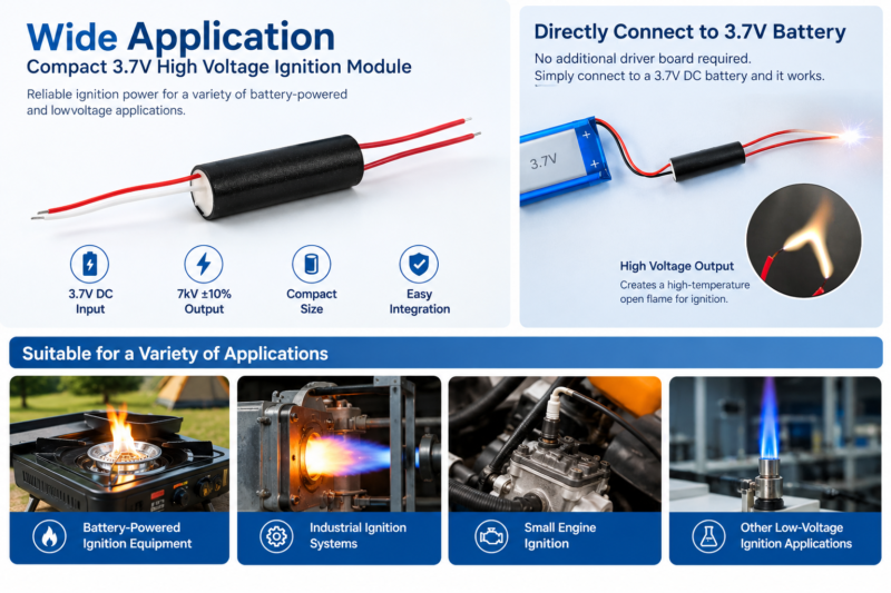 electronic igniter module